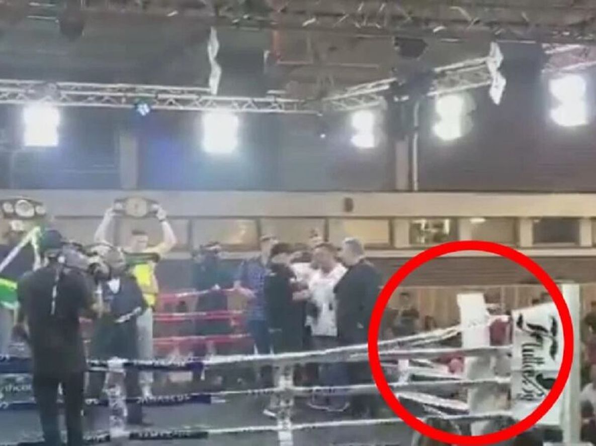 Video: insólito accidente del defensor del título de pesos pesados en las cuerdas del ring