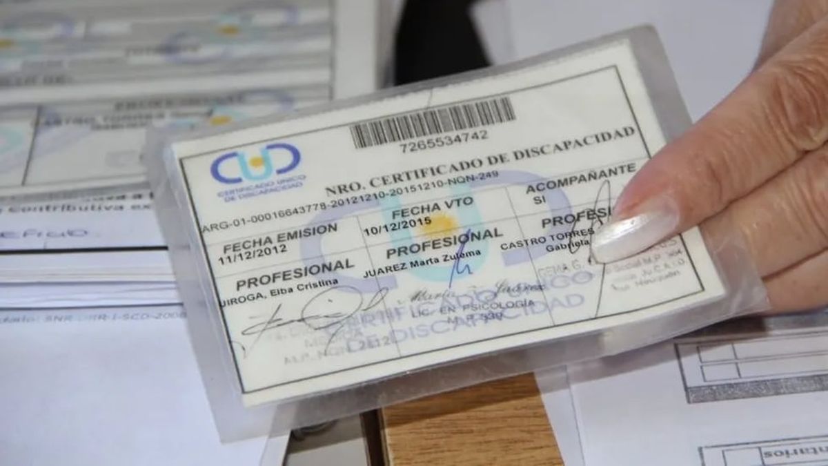 Anunciaron cambios en el Certificado Único de Discapacidad: cuáles son los nuevos beneficios