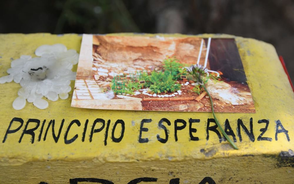 Habló la familia del sobreviviente de la tragedia del Parque: 
