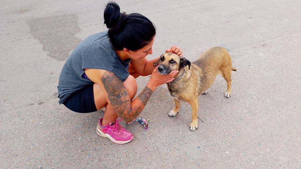Laura Barrionuevo cuida a 18 perros en su casa,