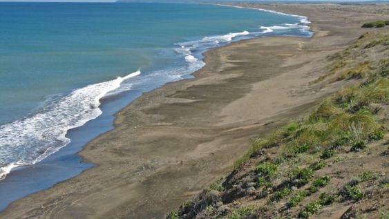 El hecho ocurrió en la zona de Bahía Creek, a unos 95 kilómetros de Viedma.
