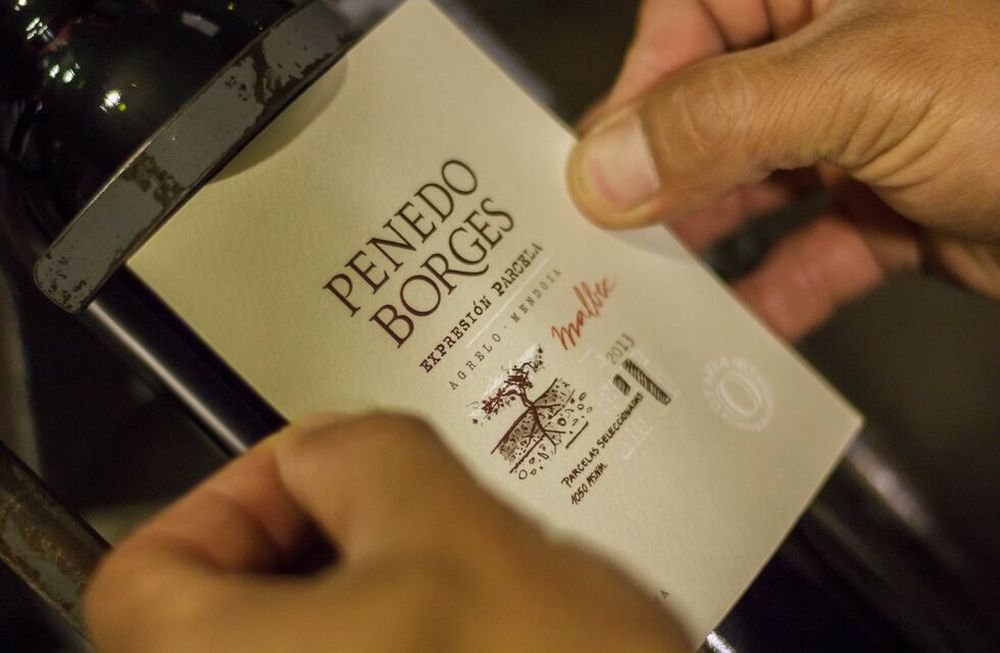 Regalá vinos Penedo Borges, en este Día del Padre