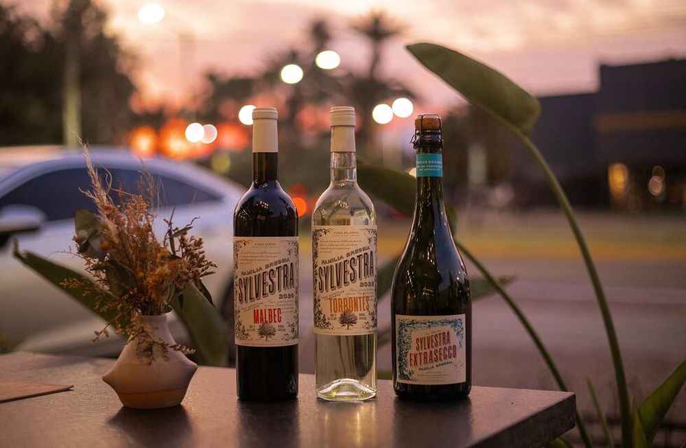 Sylvestra Open Garden, un formato innovador en Bodega Bressia