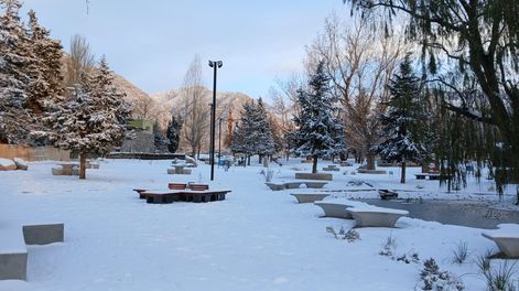 Gran nevada en la reserva Manzano Histórico el pasado 29 de junio.