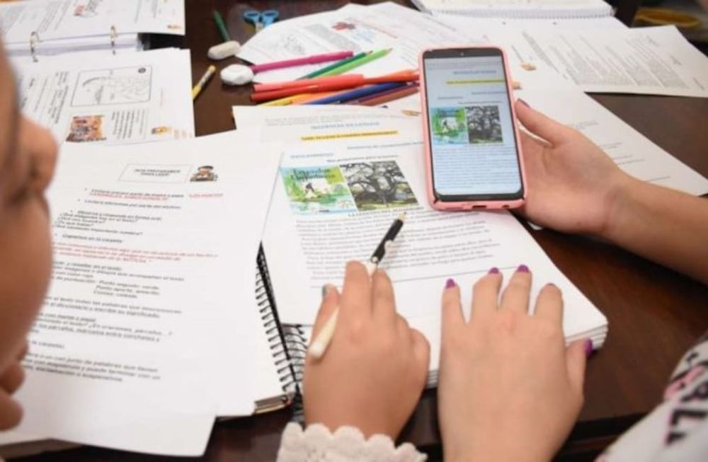 Los alumnos recibirán vía WhatsApp un desafío o problema para que lo resuelvan con apoyo de la familia. Los tutores son estudiantes avanzados de carreras docentes.