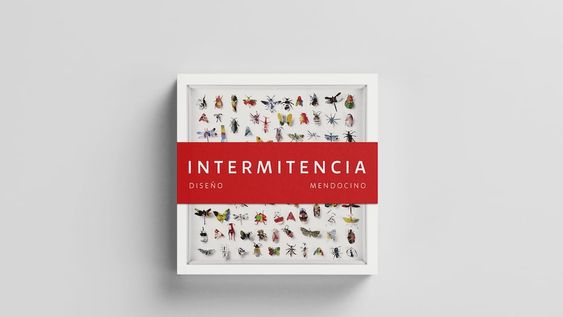 “Intermitencia. Diseño mendocino”, un libro que pormenoriza desde una mirada interdisciplinaria ocho décadas de diseño gráfico, arquitectónico y de productos en Mendoza.