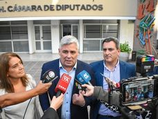 El bloque del PJ en Diputados pidió una sesión especial para tratar la situación de Hebe Casado