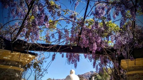 La feria tendrá lugar en Finca El Recreo, de Cafayate.