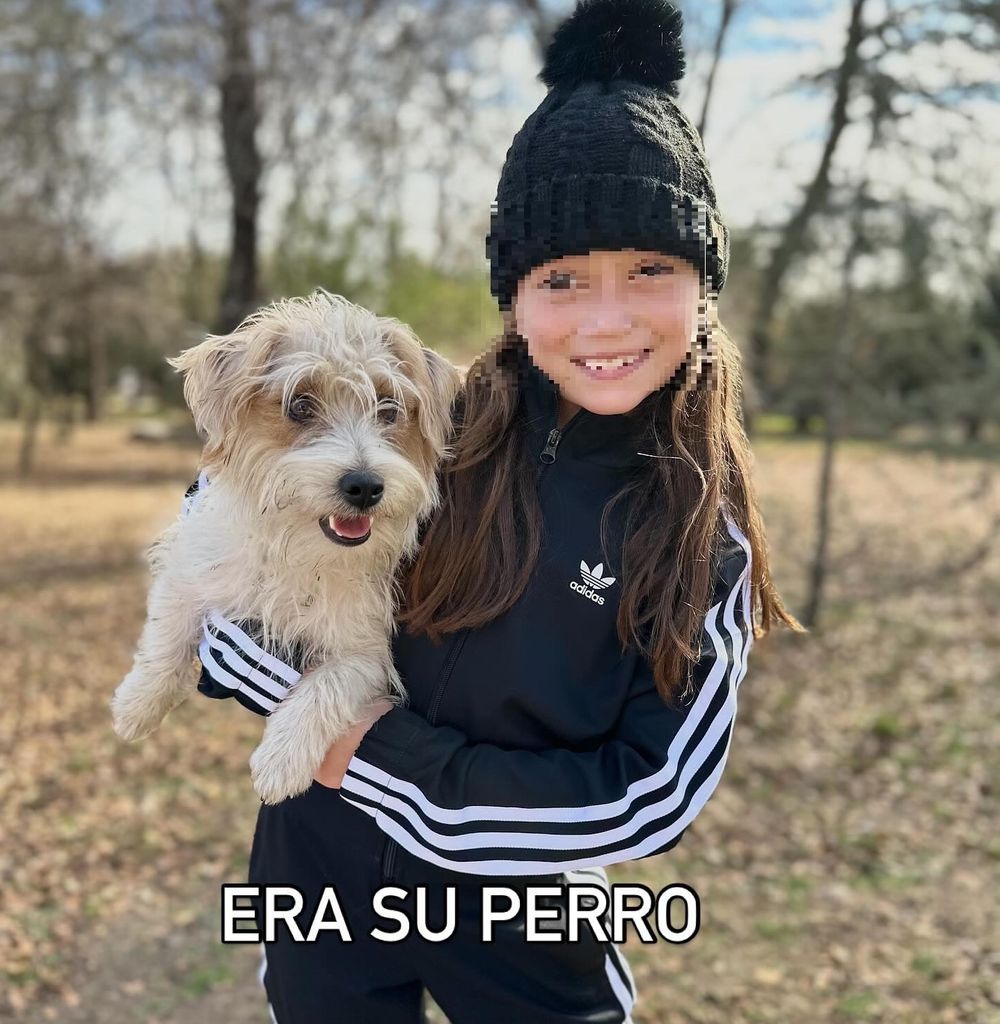 Mató de un tiro el perro que acompañaba a una nena mendocina con epilepsia porque 