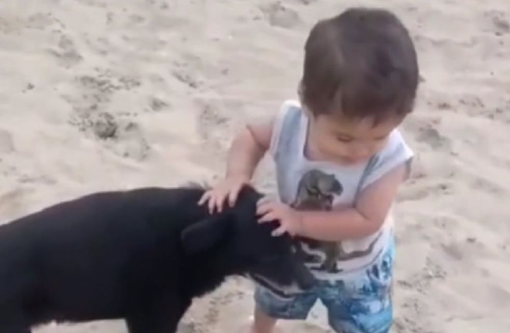 Captura de video - TikTok