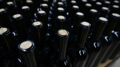Los Andes | La nueva entidad se dedicaría tanto a la promoción del vino argentino como a la defensa de los intereses del sector en el mercado interno y externo.