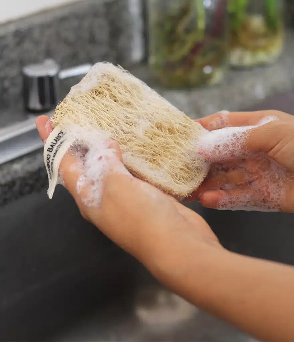 Plantar esponjas vegetales en tu casa es m&aacute;s f&aacute;cil de lo que parece.