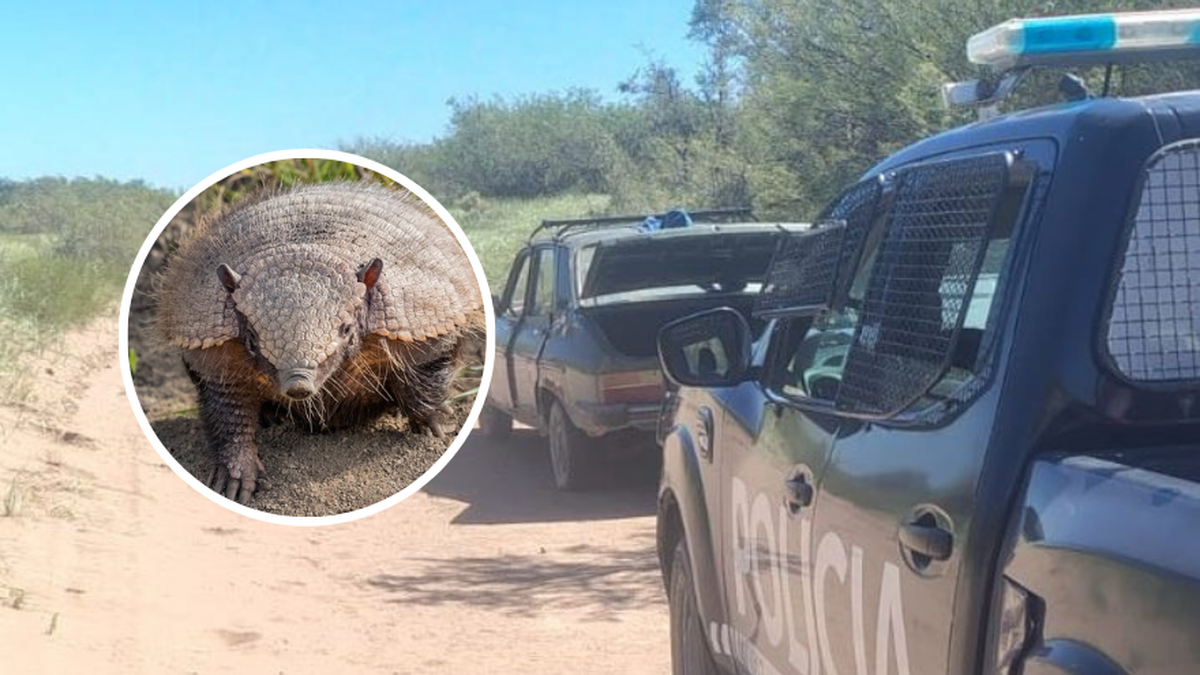 Policía Rural detectó un caso de caza furtiva de armadillos en Santa Rosa