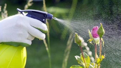La fórmula permite aprovechar ingredientes que habitualmente se tiran a la basura o se necesitan para otras preparaciones.