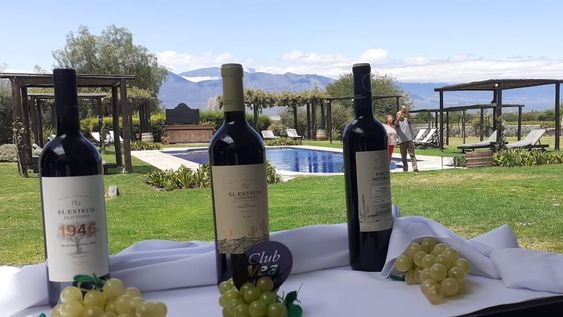 El Club VEA Vinos nació en Mendoza, y ahora se extiende a todo el país
