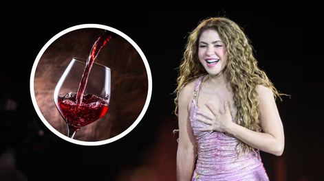 El vino mendocino que elogió Shakira y asoció a una emblemática canción