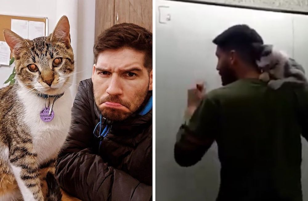 Un profesor de matemáticas dio la clase con un gato en su hombro, como un gesto para concientizar sobre el maltrato animal.