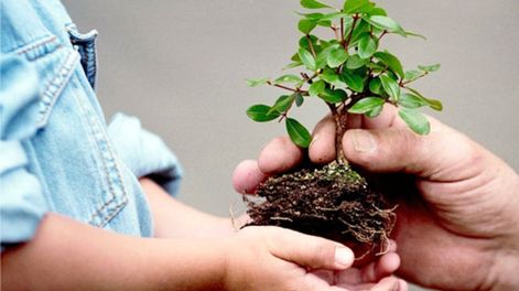 La provincia y el CFI lanzaron incentivos para emprendedores con triple impacto, con créditos a baja tasa, implementación de procesos sustentables y facilidades para la instalación de paneles solares.