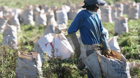 Trabajo y planes sociales: el pedido que hacen desde la Uatre