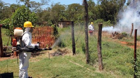 Ya son 27 los muertos por dengue en el país y en Mendoza no hay registro de casos autóctonos ni una muertes en 20 años/ Foto: Prensa Gobierno de Mendoza.