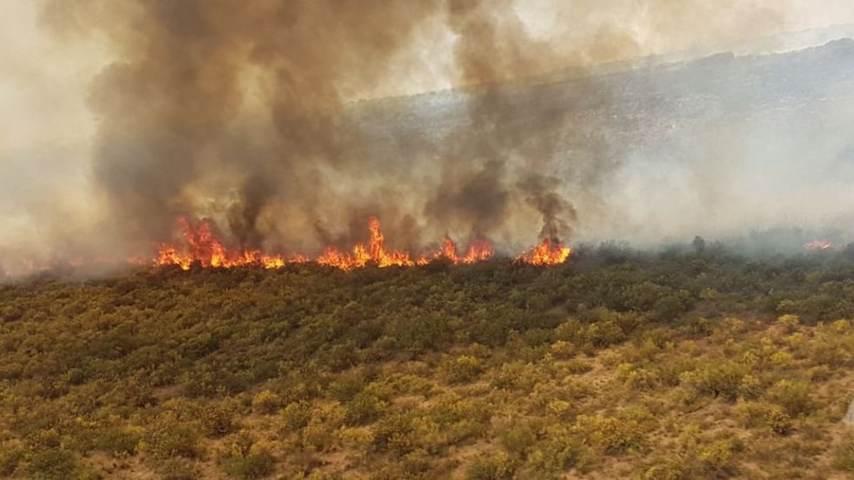 Mendoza y el siempre latente riesgo de incendios de campos