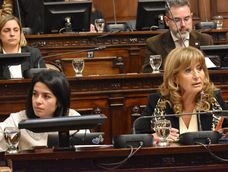 Las diputadas oficialistas Sol Salinas (PRO) y Elizabeth Crescitelli (UCR) defendieron la ley macro de Cornejo Las diputadas oficialistas Sol Salinas (PRO) y Elizabeth Crescitelli (UCR) defendieron la ley macro de Cornejo