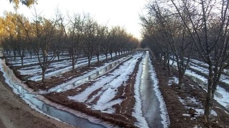 Los Andes | R4BSPHFUSFDZXAQ6SCQMGKXFQE.jpg?quality=75&smart=true&auth=c8148cb77ebbe44b9bd6393a7a07c1dc990f2a207b3f25d23744ae2f7f6e5303&width=980&height=640