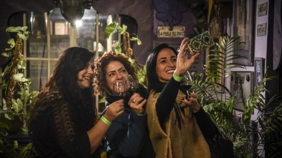 Cuatro vinos orgánicos para beber y contribuir con la sustentabilidad