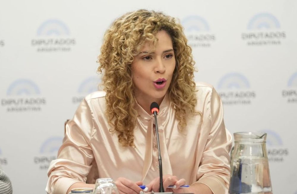 La diputada nacional Lourdes Arrieta (LLA). Foto: X @lulumicart