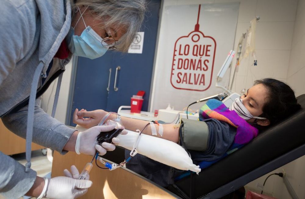Prioritario: reinstalar la donación de sangre