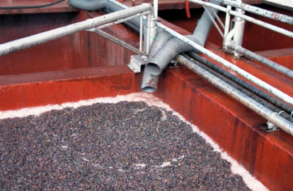 En un año, el mosto sulfitado aumentó su precio casi 100%