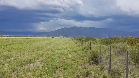 Los Andes | MH5KBCTK4ZBLLN2F3ABQCCQVCM.jpeg?quality=75&smart=true&auth=3bccee0ad1688eb6e735410b1f904e5c9c5003948de3d06f44fe3f366aff8a23&width=980&height=640