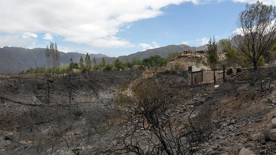 fin de semana crítico y catastrófico -con el viento Zonda se propagaron distintos focos de incendio que consumieron a unas 2.500 hectáreas en el piedemonte de Luján de Cuyo Portal SuizoFoto: Orlando Pelichotti