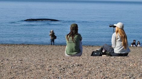 La playa El Doradillo queda en Puerto Madryn, a 13km del centro