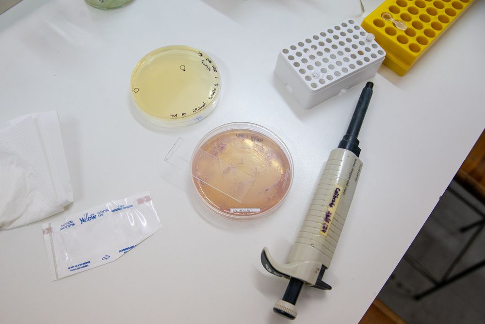 Ein Wissenschaftsprojekt der UNCuyo erhält 330.000 US-Dollar von der Zuckerberg Foundation: Wie das Geld investiert wird. Foto: Mit freundlicher Genehmigung der UNCuyo