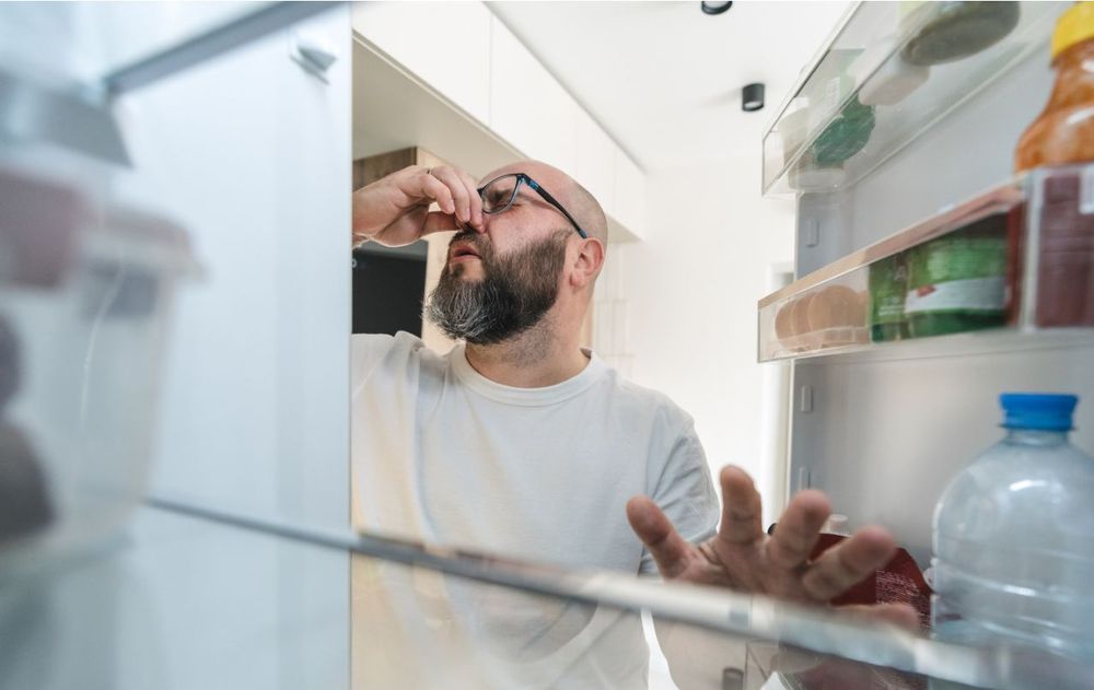 Conviene limpiar periódicamente los estantes, secar cualquier derrame apenas ocurra y guardar los alimentos siempre en recipientes bien cerrados.