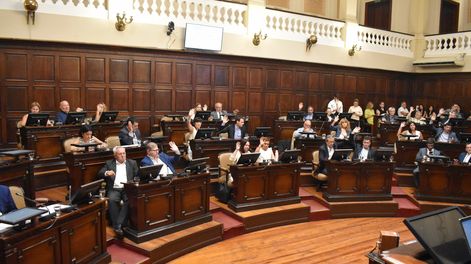 La Cámara de Diputados de Mendoza en sesión.&nbsp;
