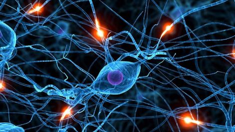 Nuevos mecanismos de conexiones entre neuronas