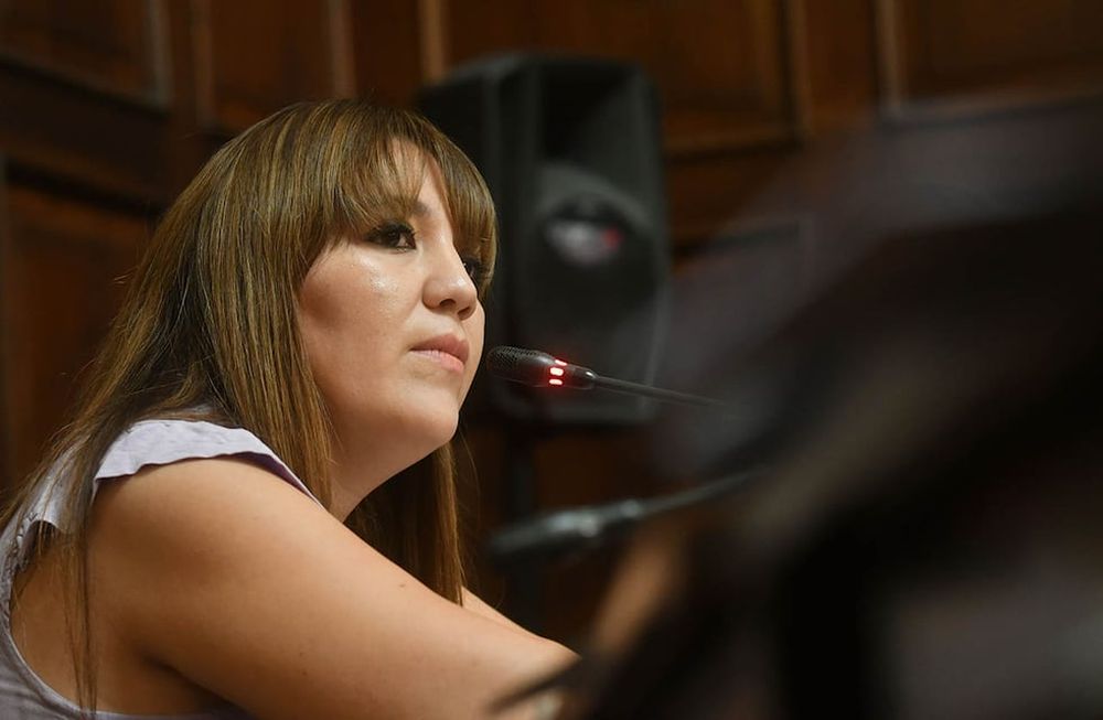Sesión en la Cámara de Diputados de Mendoza donde se decidió suspender a Janina Ortiz de su cargo de Diputada,  por causas penales donde se la investiga por presunta corrupción cuando era funcionaria de Las Heras.Foto: José Gutierrez / Los Andes