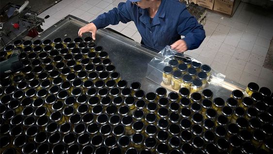 Más de la mitad de las empresas mendocinas otorga diversos beneficios a sus empleados para retenerlos y compensar la pérdida de poder adquisitivo de los salarios. Foto: Orlando Pelichotti /  Los Andes