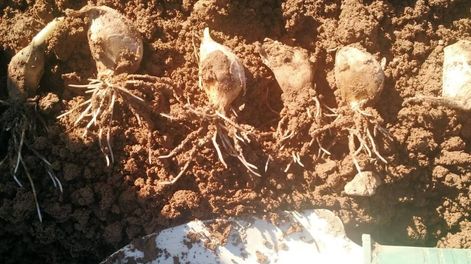 Los Andes | ELY7FAV6MFHRHIHBN2AUXQKF2I.jpg?quality=75&smart=true&auth=4b0e0dc9ce2195d1024274b9ec77cb33fa47b4979f3219274418d799b83baf2f&width=980&height=640