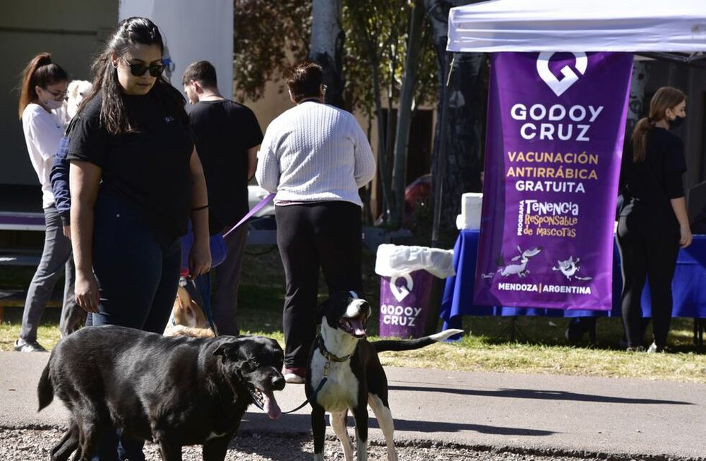 Gracias al encuentro 16 mascotas encontraron un nuevo hogar