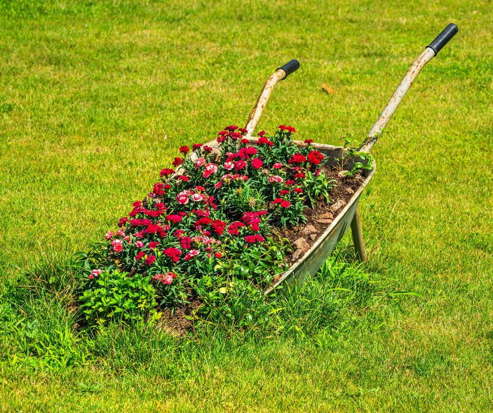Trucos para tener un jardín soñado