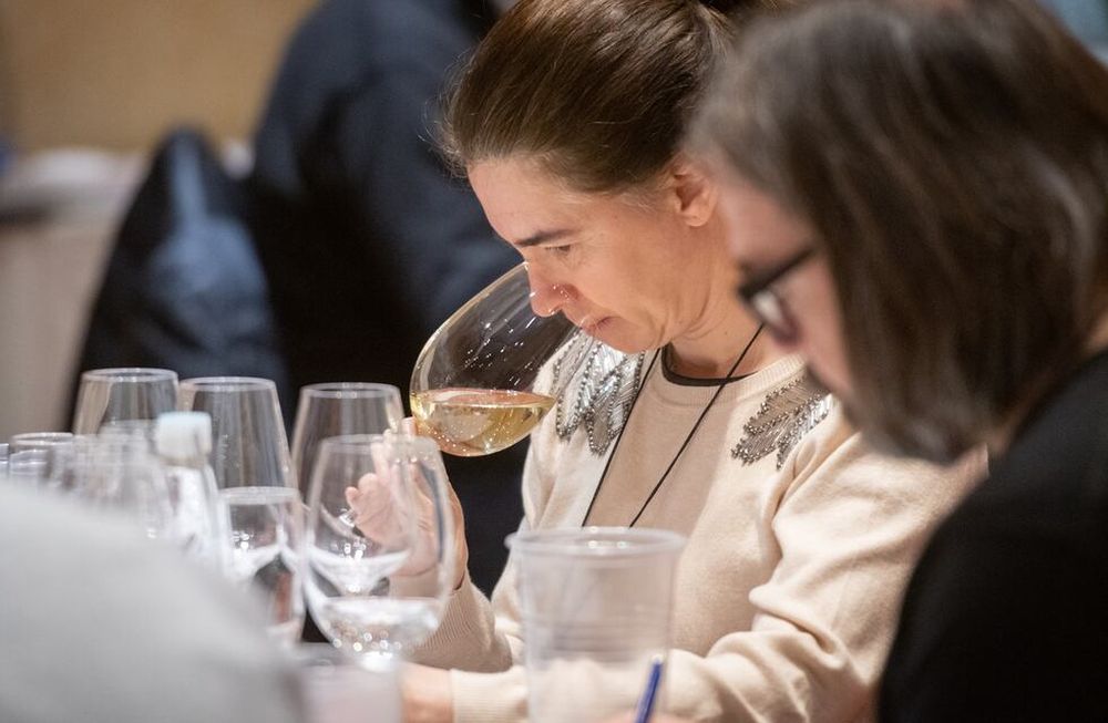 Primer Concurso Nacional de Vinos Guarda 14 El evento se desarrolló durante toda la mañana de este viernes en Sheraton Mendoza Hotel. Allí, más de 250 muestras de unas 130 bodegas son degustadas por los jurados, en busca de los mejores vinos.Foto: Ignacio Blanco / Los Andes