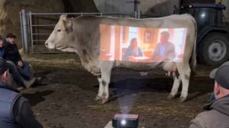 ¿Real o IA?: usuarios cuestionan la veracidad del video viral.