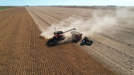 soja mani sorgo maiz cordoba