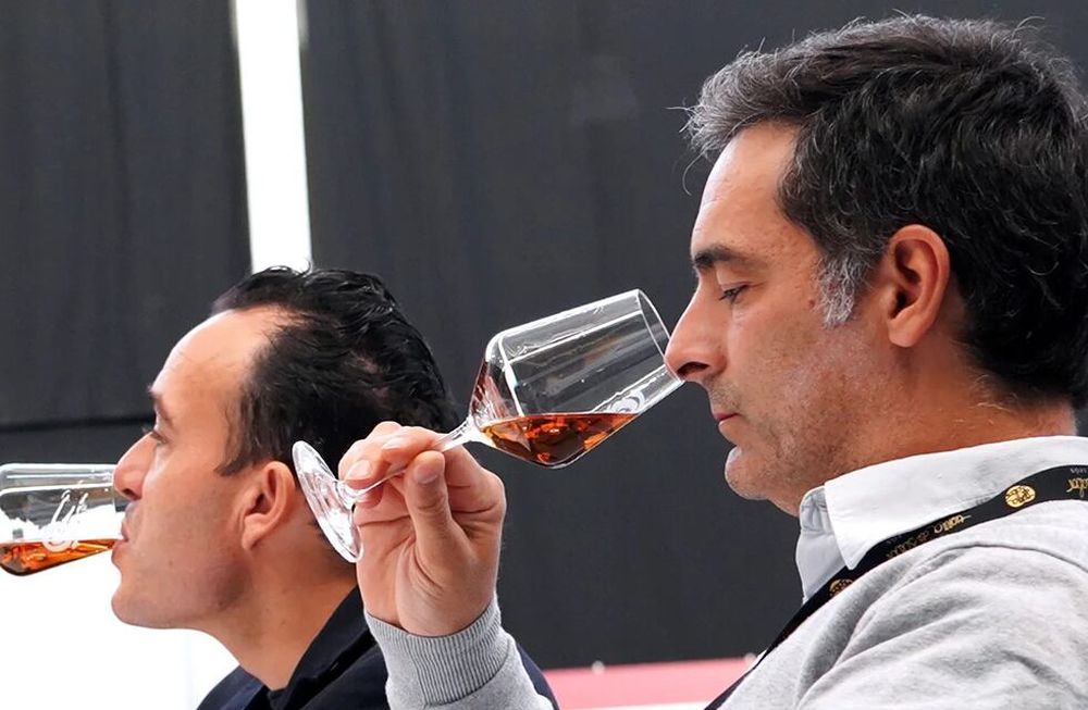 Los Premios Zarcillo celebrarán su 19ª edición en Burgos, España