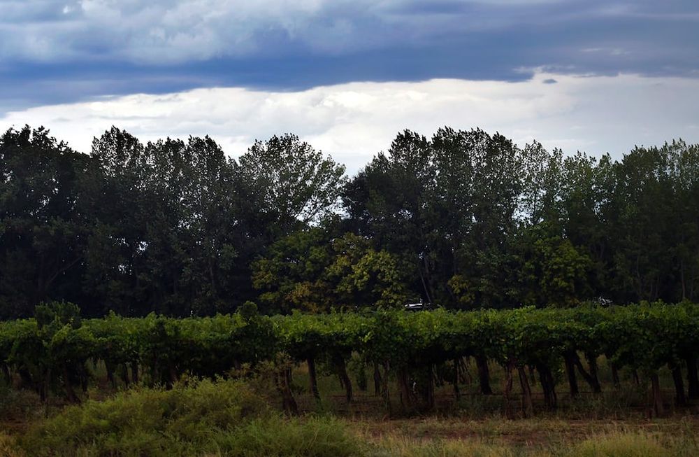 Esta semana se esperan tormentas aisladas un día, pero buenas condiciones para el resto de las jornadas. Foto: Orlando Pelichotti / Los Andes