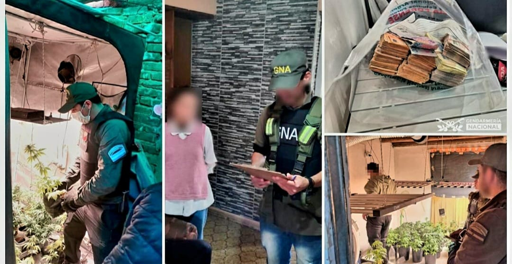 Desbarataron una banda narco en Mendoza.