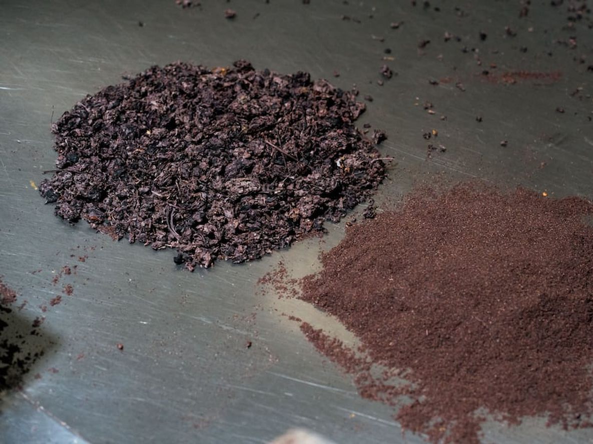El proyecto de Finca Dinamia busca convertir el orujo en harina de uva, también llamada harina de vino, uva deshidratada o polvo de uva. Gentileza: Finca Dinamia